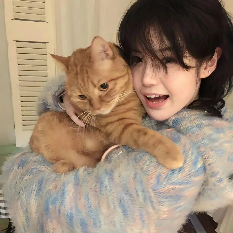 鬼马神仙车国语